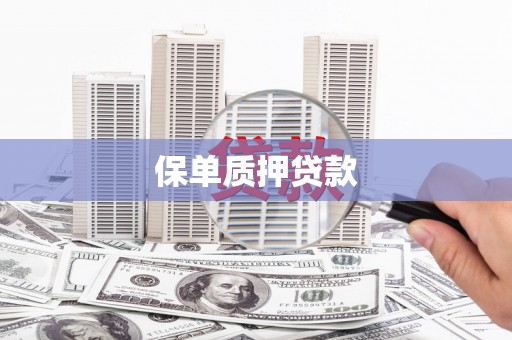 平顺保单质押贷款