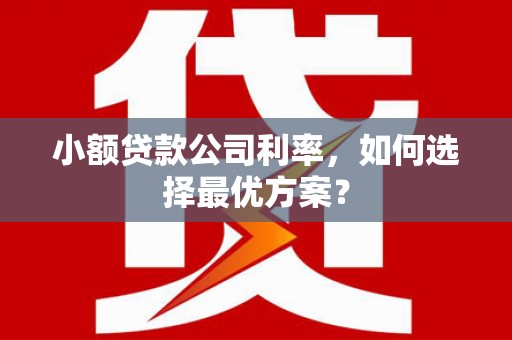 平顺小额贷款公司利率，如何选择最优方案？