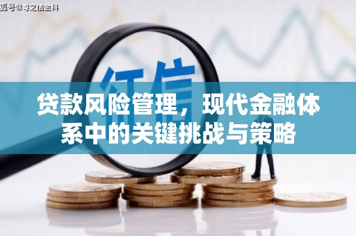 平顺贷款风险管理，现代金融体系中的关键挑战与策略