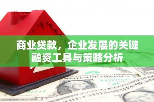 平顺商业贷款，企业发展的关键融资工具与策略分析