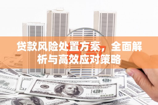平顺贷款风险处置方案，全面解析与高效应对策略