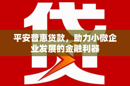 平顺平安普惠贷款，助力小微企业发展的金融利器