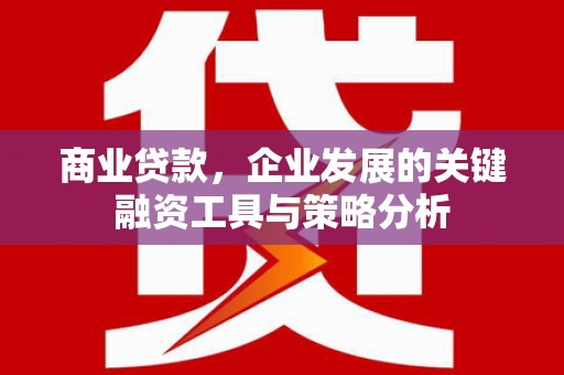 平顺商业贷款，企业发展的关键融资工具与策略分析