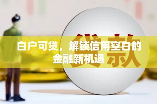 平顺白户可贷，解锁信用空白的金融新机遇
