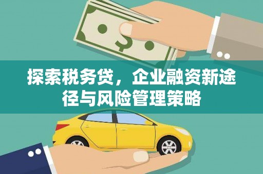 平顺探索税务贷，企业融资新途径与风险管理策略