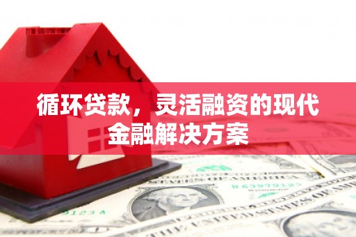 平顺循环贷款，灵活融资的现代金融解决方案