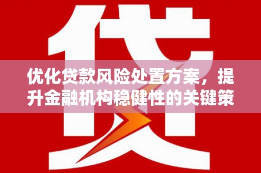 平顺优化贷款风险处置方案，提升金融机构稳健性的关键策略