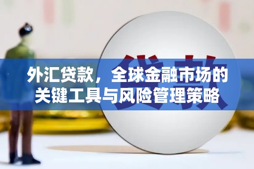平顺外汇贷款，全球金融市场的关键工具与风险管理策略