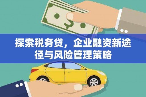 平顺探索税务贷，企业融资新途径与风险管理策略