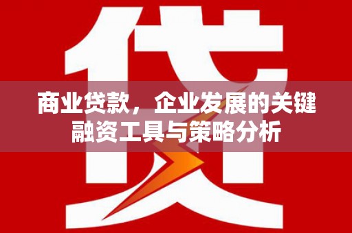 平顺商业贷款，企业发展的关键融资工具与策略分析