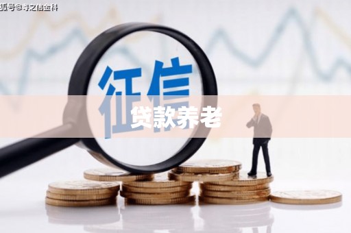平顺贷款养老