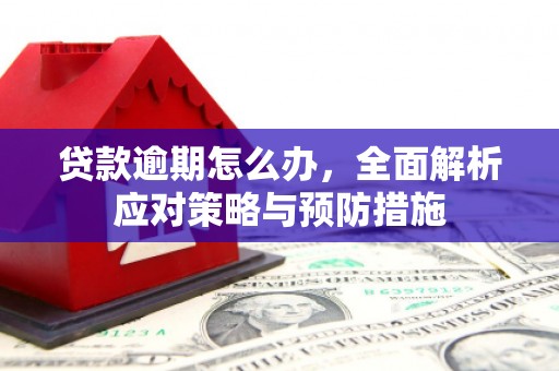 平顺贷款逾期怎么办，全面解析应对策略与预防措施
