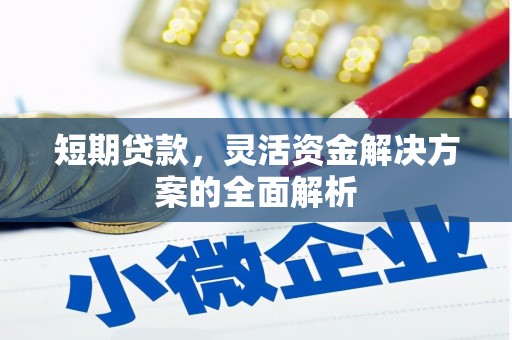 平顺短期贷款，灵活资金解决方案的全面解析