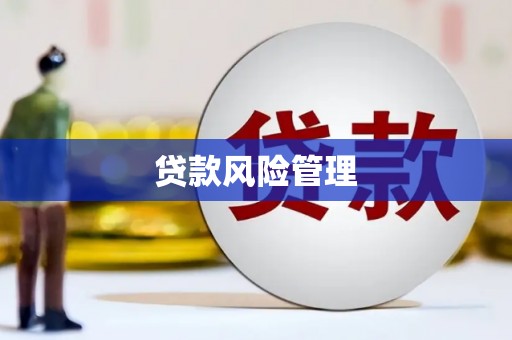 平顺贷款风险管理