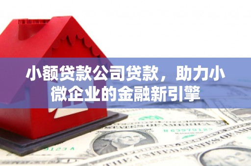 平顺小额贷款公司贷款，助力小微企业的金融新引擎
