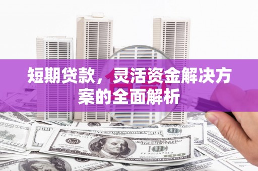 平顺短期贷款，灵活资金解决方案的全面解析