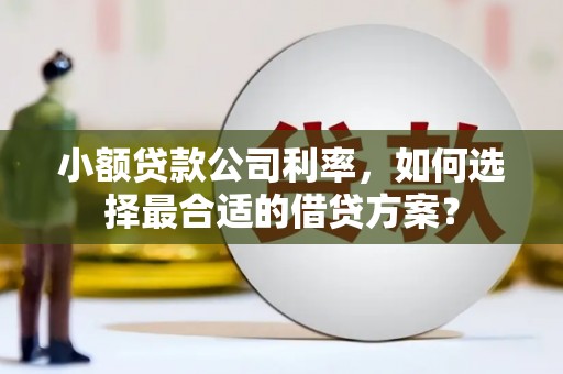 平顺小额贷款公司利率，如何选择最合适的借贷方案？