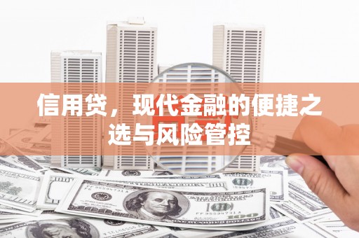 平顺信用贷，现代金融的便捷之选与风险管控