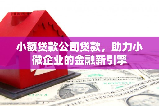 平顺小额贷款公司贷款，助力小微企业的金融新引擎
