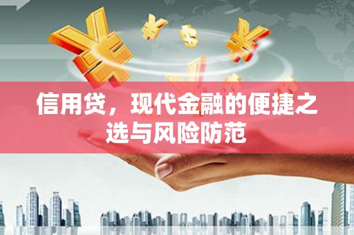 平顺信用贷，现代金融的便捷之选与风险防范