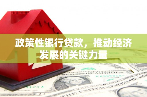 平顺政策性银行贷款，推动经济发展的关键力量