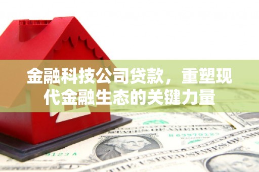 平顺金融科技公司贷款，重塑现代金融生态的关键力量