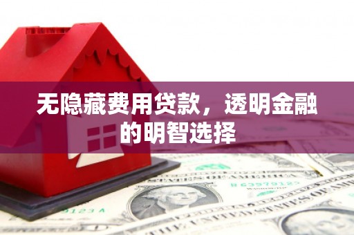 平顺无隐藏费用贷款，透明金融的明智选择