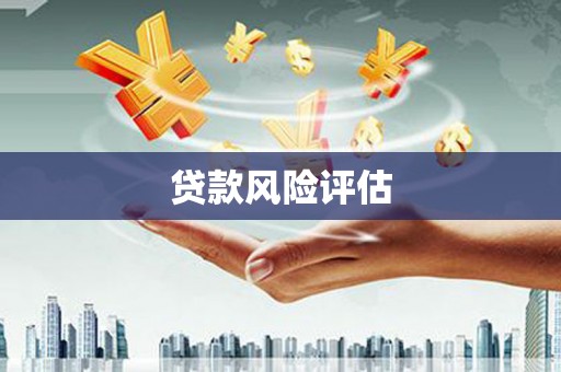 平顺贷款风险评估