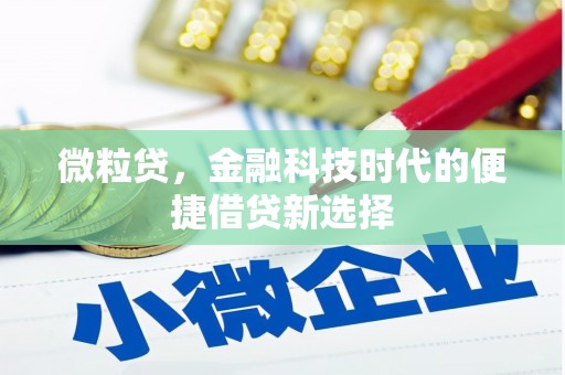 平顺微粒贷，金融科技时代的便捷借贷新选择