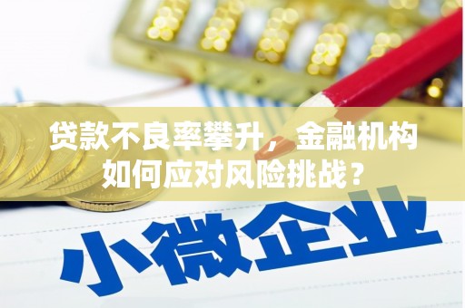 平顺贷款不良率攀升，金融机构如何应对风险挑战？