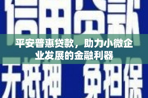 平顺平安普惠贷款，助力小微企业发展的金融利器